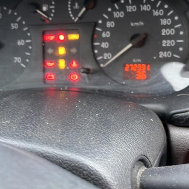 Porte arriere droit RENAULT CLIO 2 Photo n°9