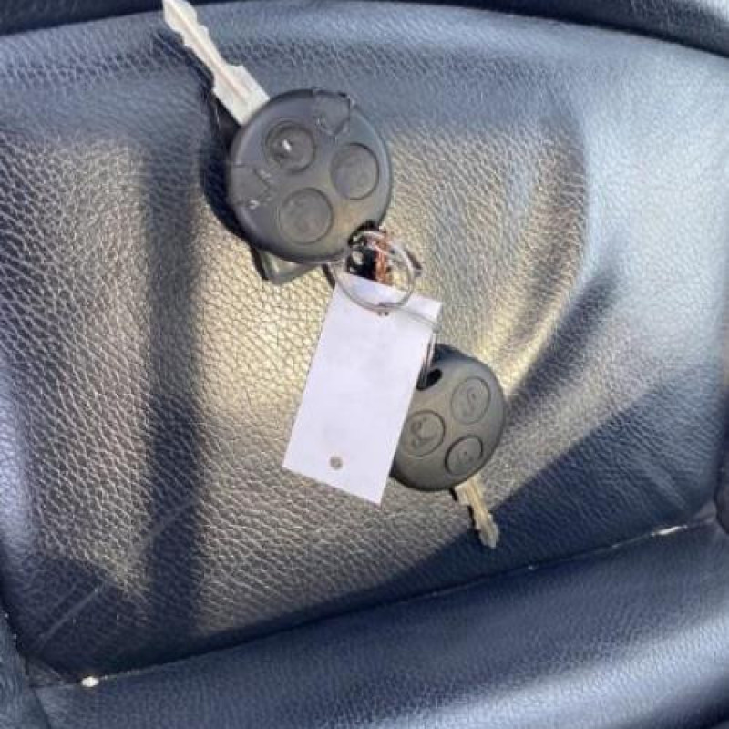 Porte avant gauche SMART FORTWO 1 Photo n°10