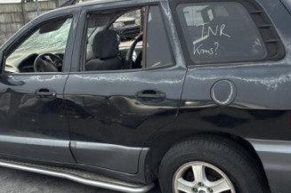 Interrupteur de leve vitre avant gauche HYUNDAI SANTA FE 1