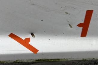 Porte arriere gauche FORD FOCUS 3