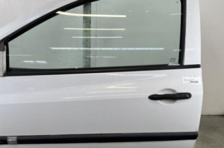 Porte avant gauche RENAULT CLIO 3 Photo n°1