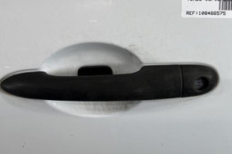 Porte avant gauche RENAULT CLIO 3