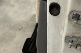 Porte avant gauche RENAULT CLIO 3
