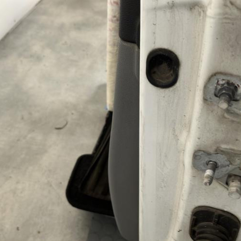 Porte avant gauche RENAULT CLIO 3 Photo n°4