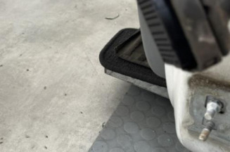 Porte avant gauche RENAULT CLIO 3