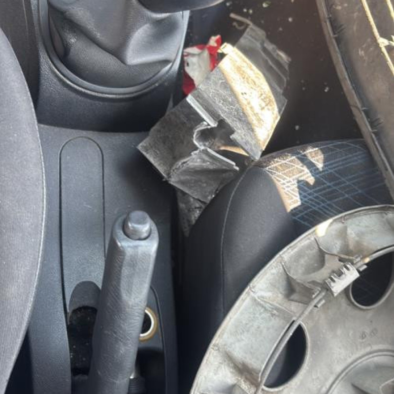 Porte avant gauche RENAULT CLIO 3 Photo n°19