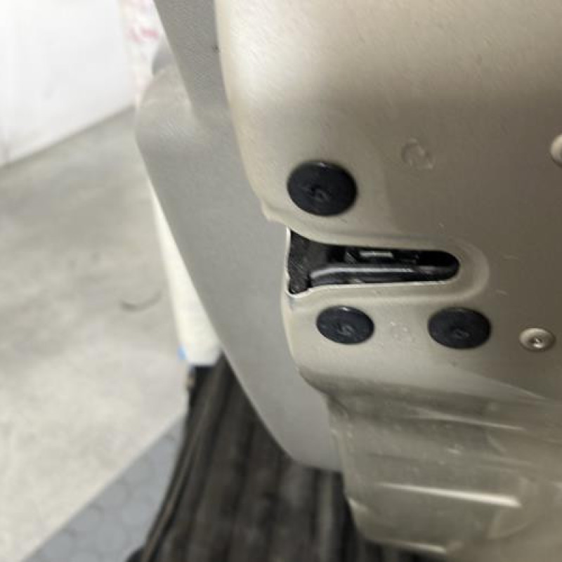 Porte avant droit RENAULT CLIO 3 Photo n°4