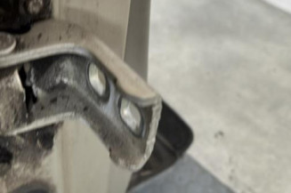 Porte avant droit RENAULT CLIO 3