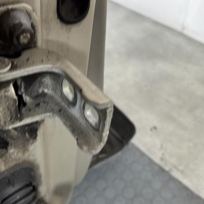 Porte avant droit RENAULT CLIO 3 Photo n°5