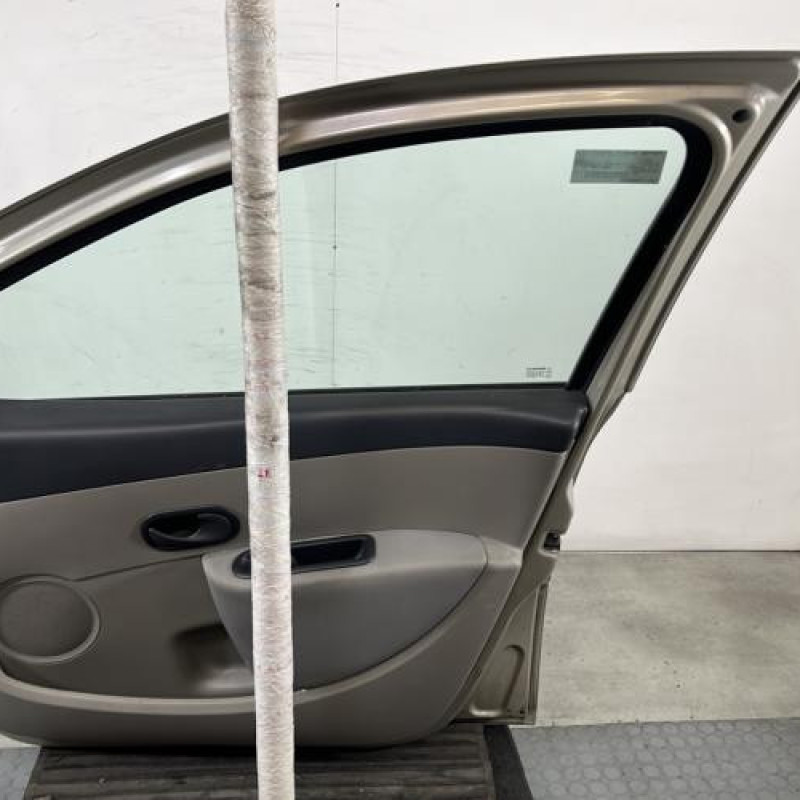 Porte avant droit RENAULT CLIO 3 Photo n°7