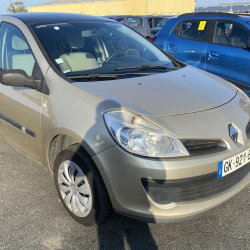 Porte avant droit RENAULT CLIO 3 Photo n°9