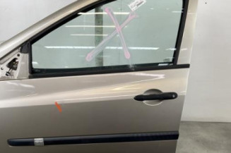 Porte avant gauche RENAULT CLIO 3 Photo n°1