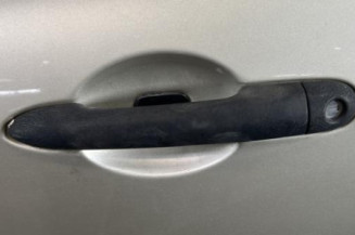 Porte avant gauche RENAULT CLIO 3