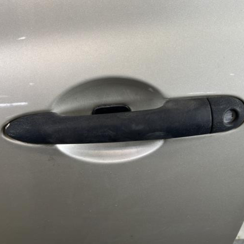 Porte avant gauche RENAULT CLIO 3 Photo n°2