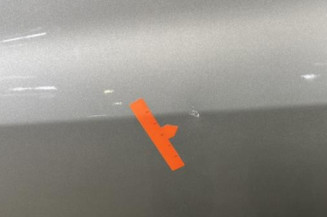 Porte avant gauche RENAULT CLIO 3