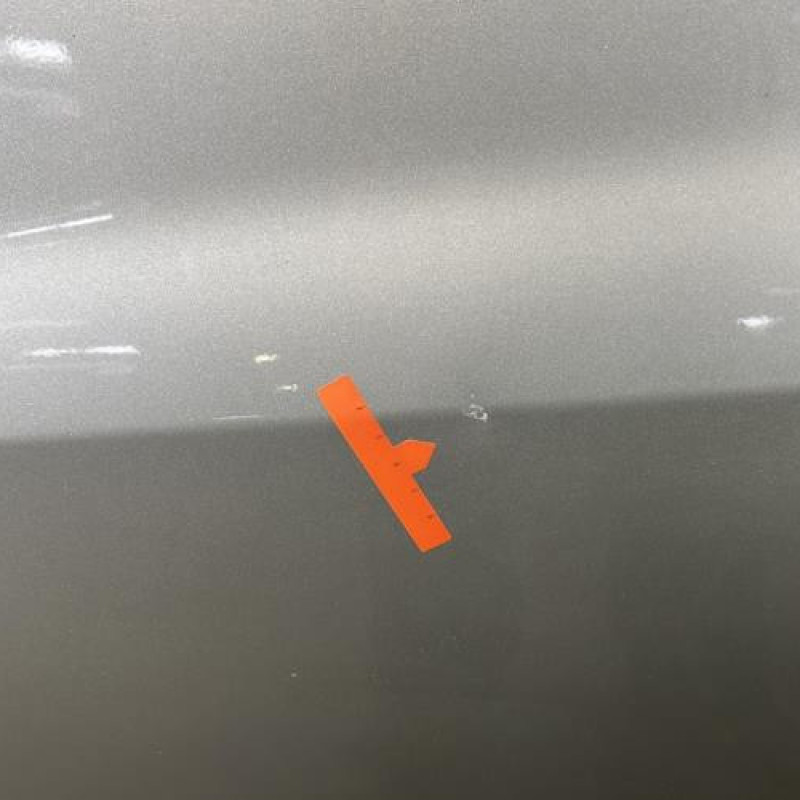 Porte avant gauche RENAULT CLIO 3 Photo n°3