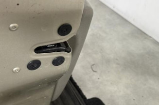 Porte avant gauche RENAULT CLIO 3