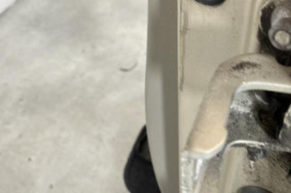 Porte avant gauche RENAULT CLIO 3