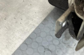 Porte avant gauche RENAULT CLIO 3