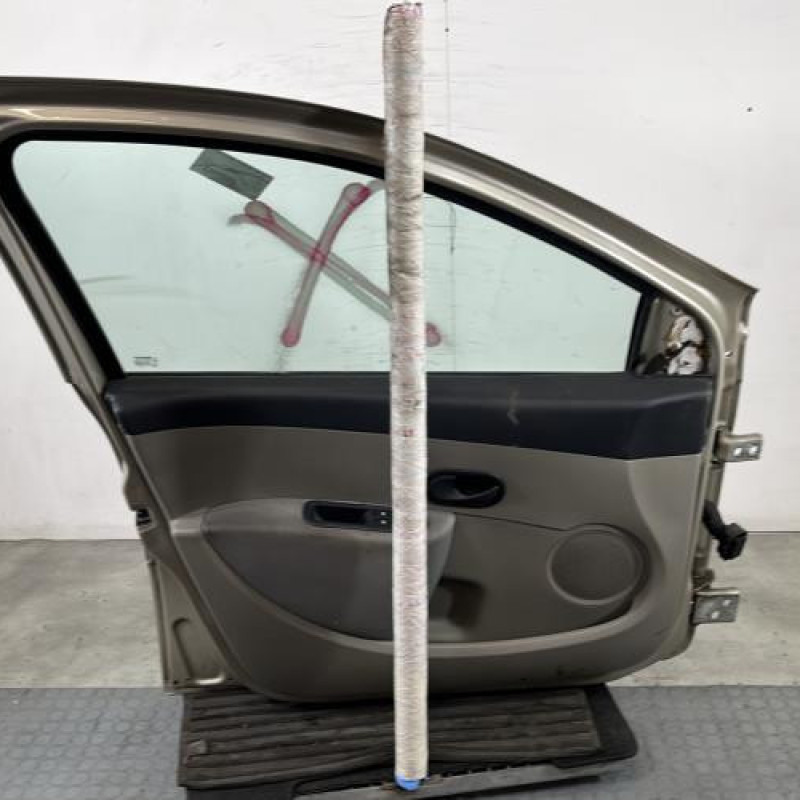Porte avant gauche RENAULT CLIO 3 Photo n°7
