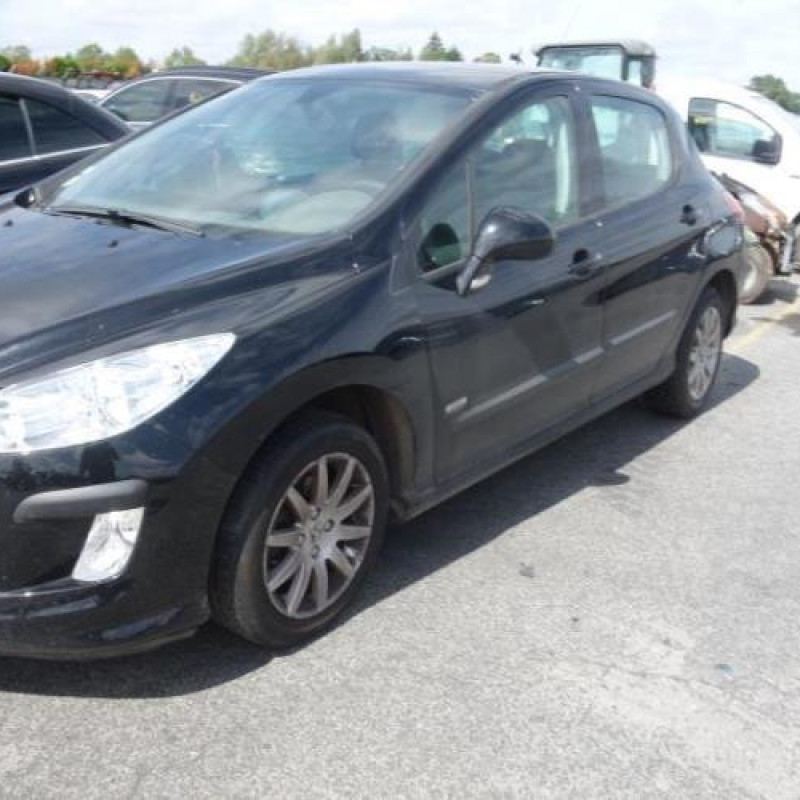 Porte avant gauche PEUGEOT 308 1 Photo n°6