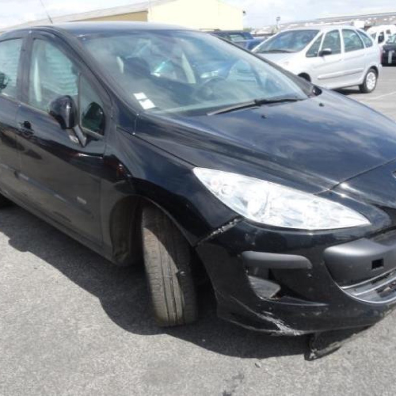 Porte avant gauche PEUGEOT 308 1 Photo n°11