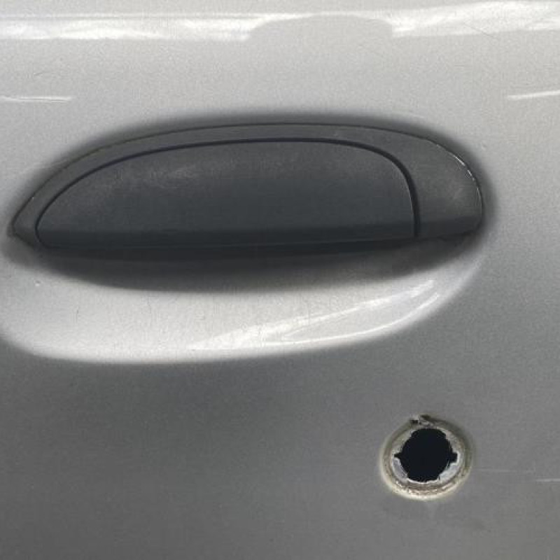 Porte avant gauche RENAULT CLIO 2 CAMPUS Photo n°3