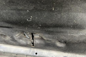 Capot CITROEN XSARA