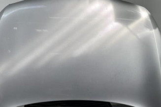 Capot KIA SPORTAGE 3 Photo n°1