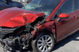 Custode avant gauche (porte) RENAULT CLIO 5
