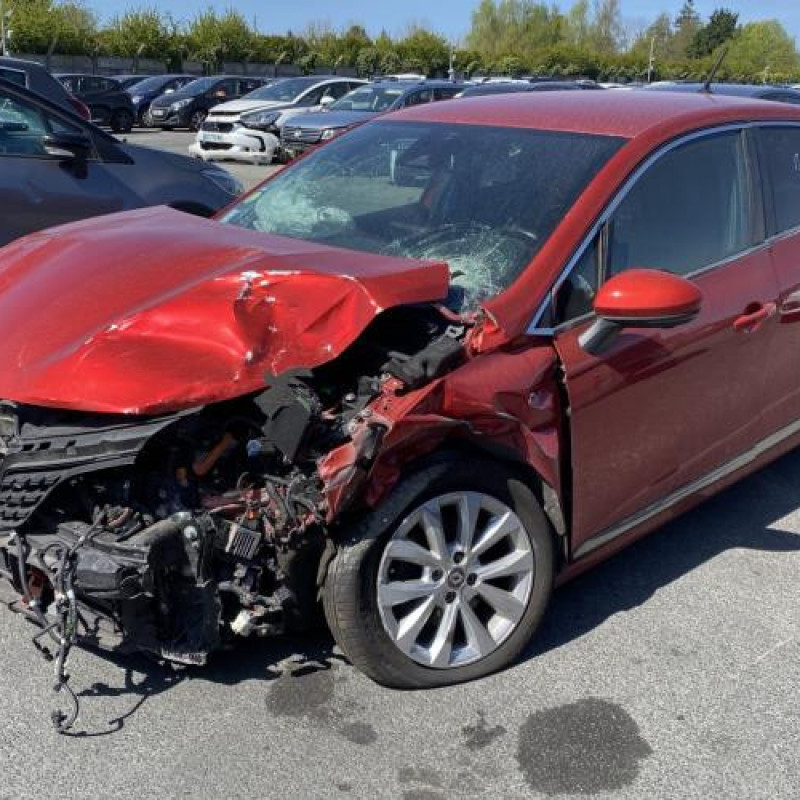 Custode avant gauche (porte) RENAULT CLIO 5 Photo n°5