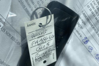 Custode avant gauche (porte) RENAULT CLIO 5