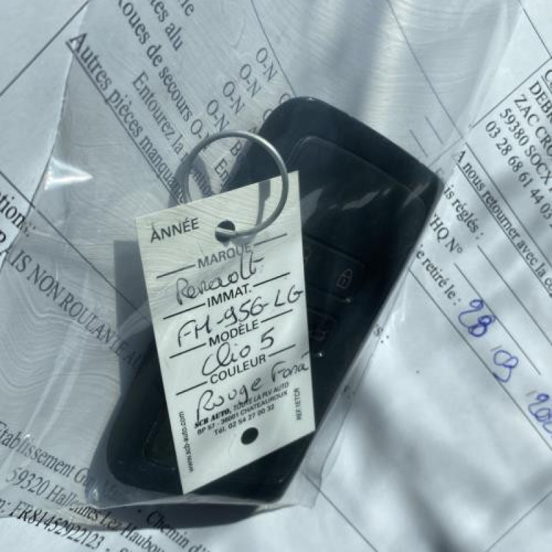 Custode avant gauche (porte) RENAULT CLIO 5 Photo n°14