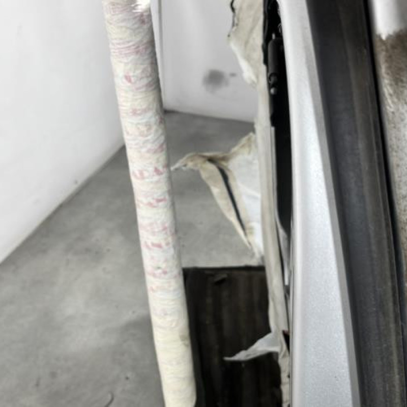 Porte arriere gauche KIA SPORTAGE 3 Photo n°4