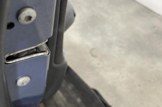 Porte avant gauche BMW SERIE 3 E46