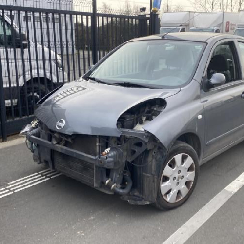 Porte avant gauche NISSAN MICRA 3 Photo n°9