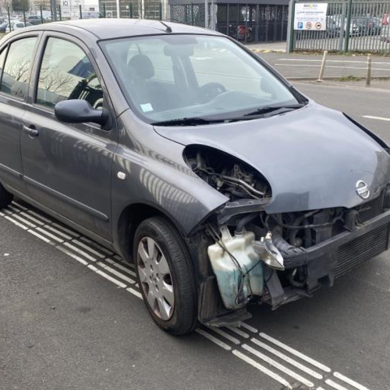 Porte avant gauche NISSAN MICRA 3 Photo n°10