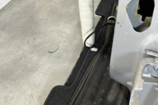 Porte arriere gauche CITROEN DS5