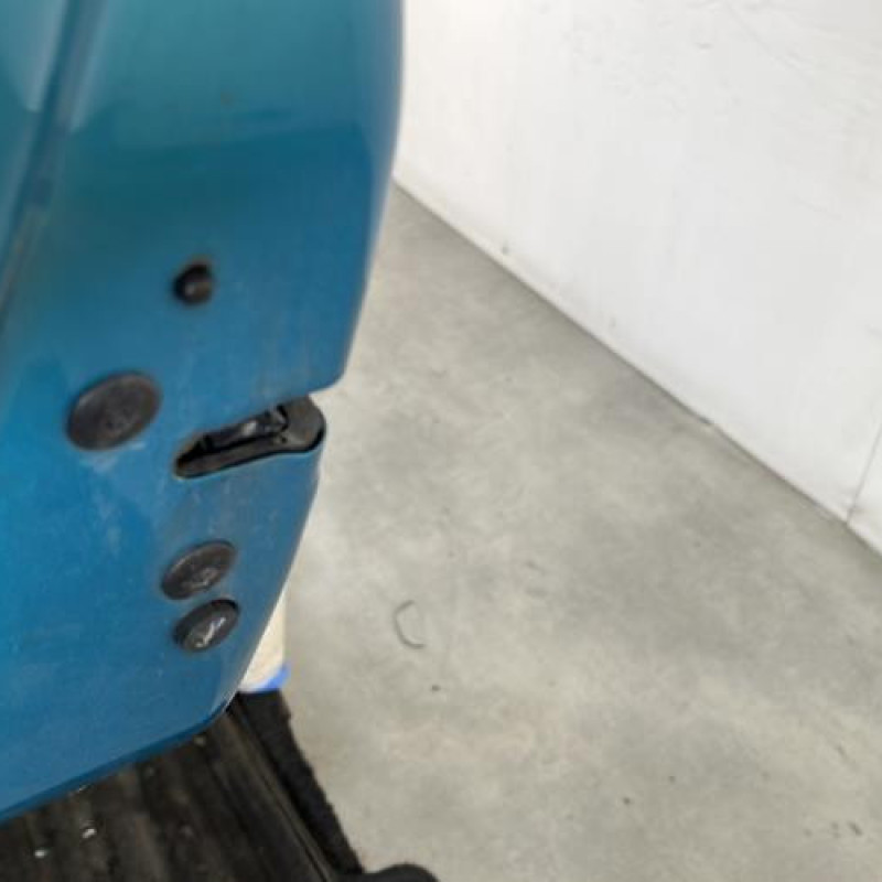 Porte arriere gauche CITROEN C3 3 Photo n°3