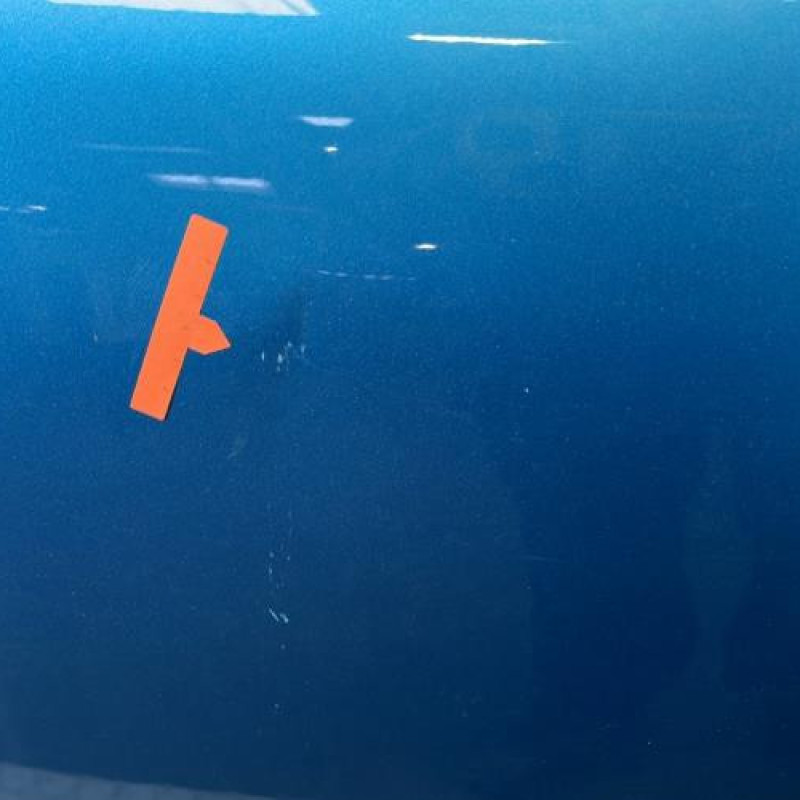 Porte arriere gauche CITROEN C3 3 Photo n°4