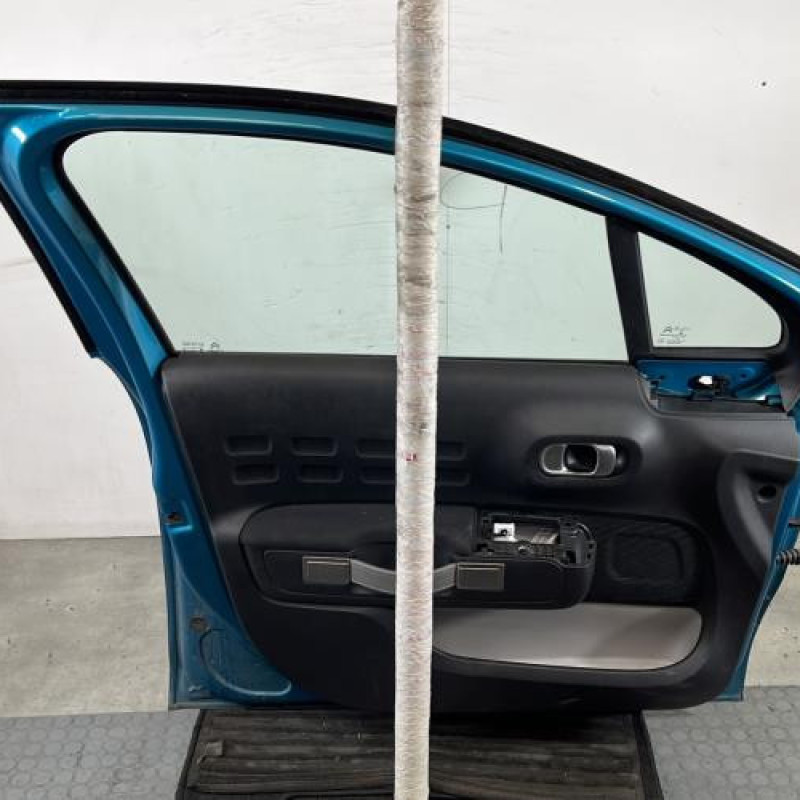 Porte avant gauche CITROEN C3 3 Photo n°6