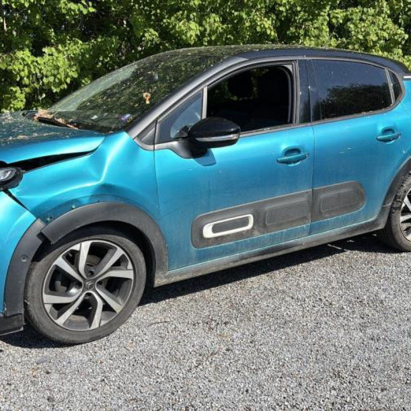 Porte avant gauche CITROEN C3 3 Photo n°9