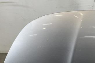 Capot CITROEN DS5