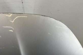 Capot CITROEN DS5