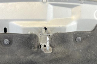 Capot CITROEN DS5