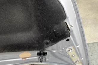 Capot CITROEN DS5
