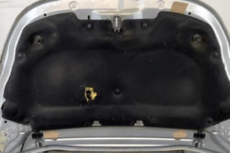 Capot CITROEN DS5