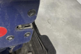 Porte avant gauche RENAULT CLIO 2