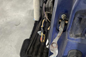 Porte avant gauche RENAULT CLIO 2