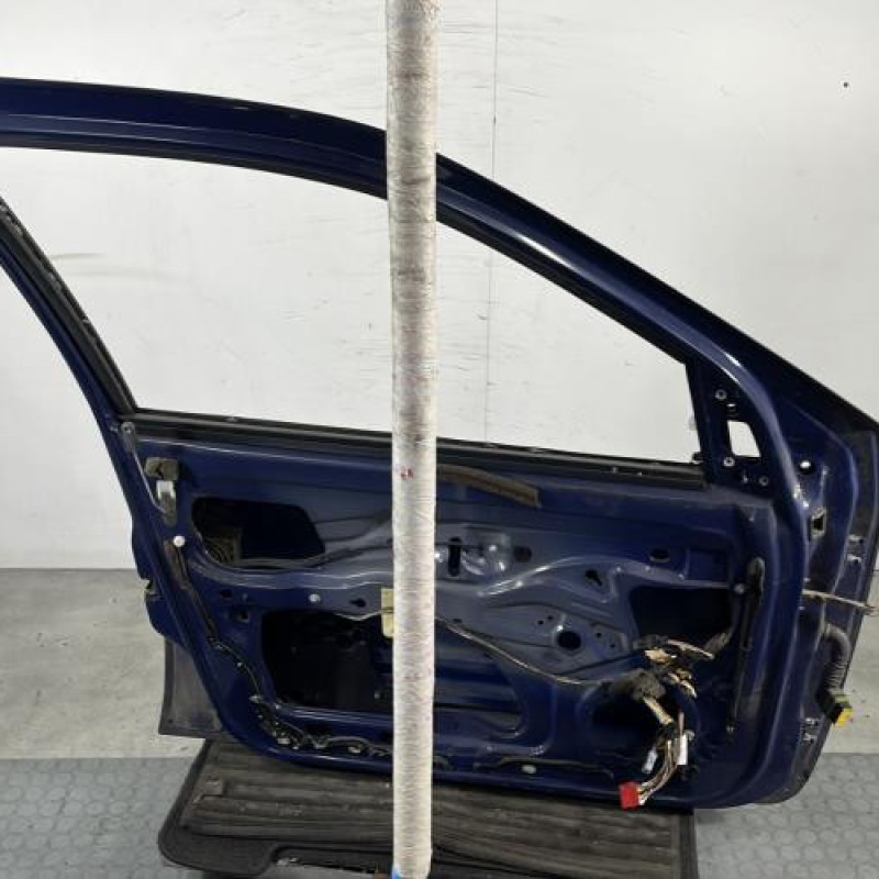 Porte avant gauche RENAULT CLIO 2 Photo n°7